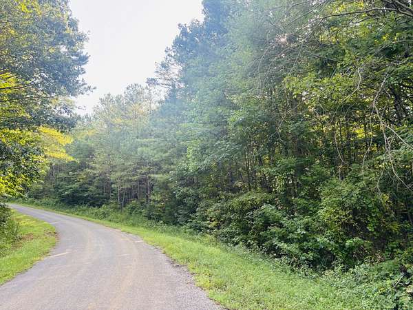 22.8 Acres of Recreational Land for Sale in Reagan, Tennessee