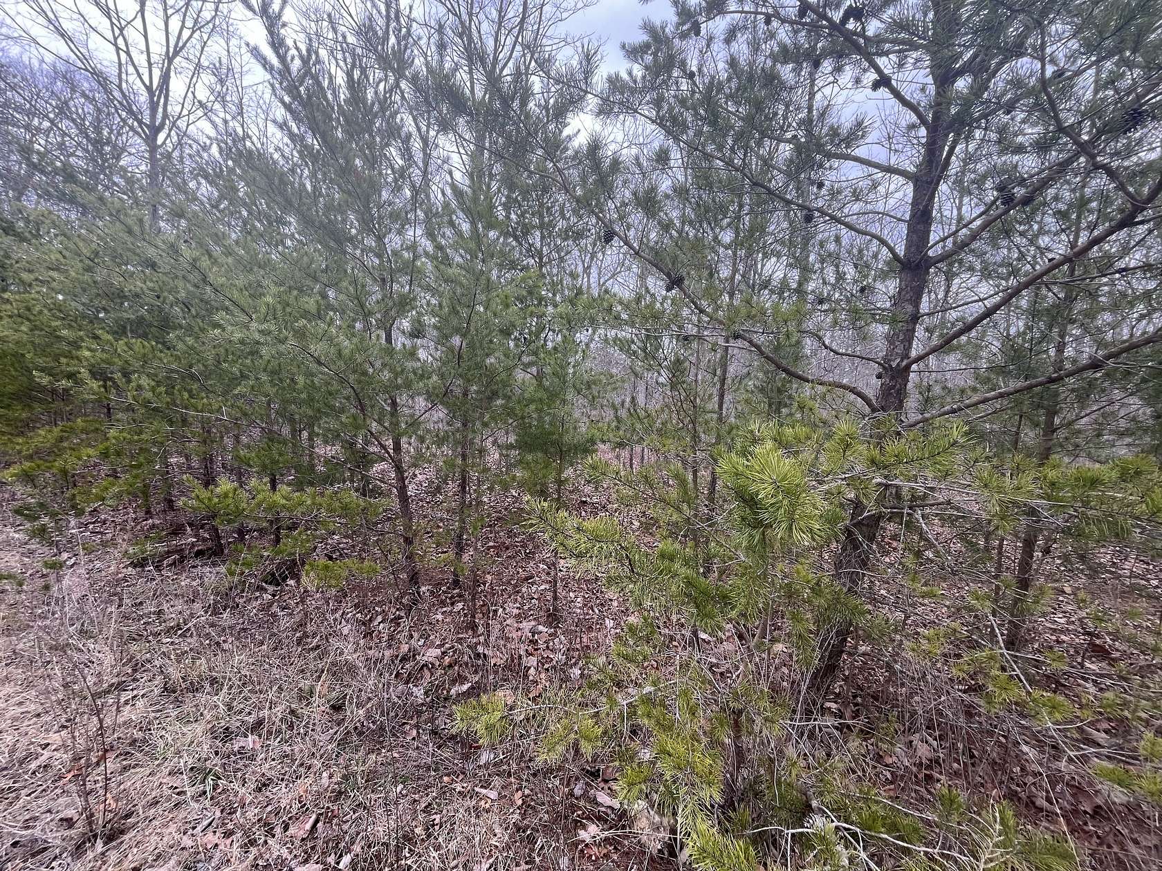 3.37 Acres of Residential Land for Sale in Pikeville, Tennessee