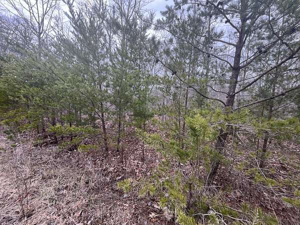 3.37 Acres of Residential Land for Sale in Pikeville, Tennessee