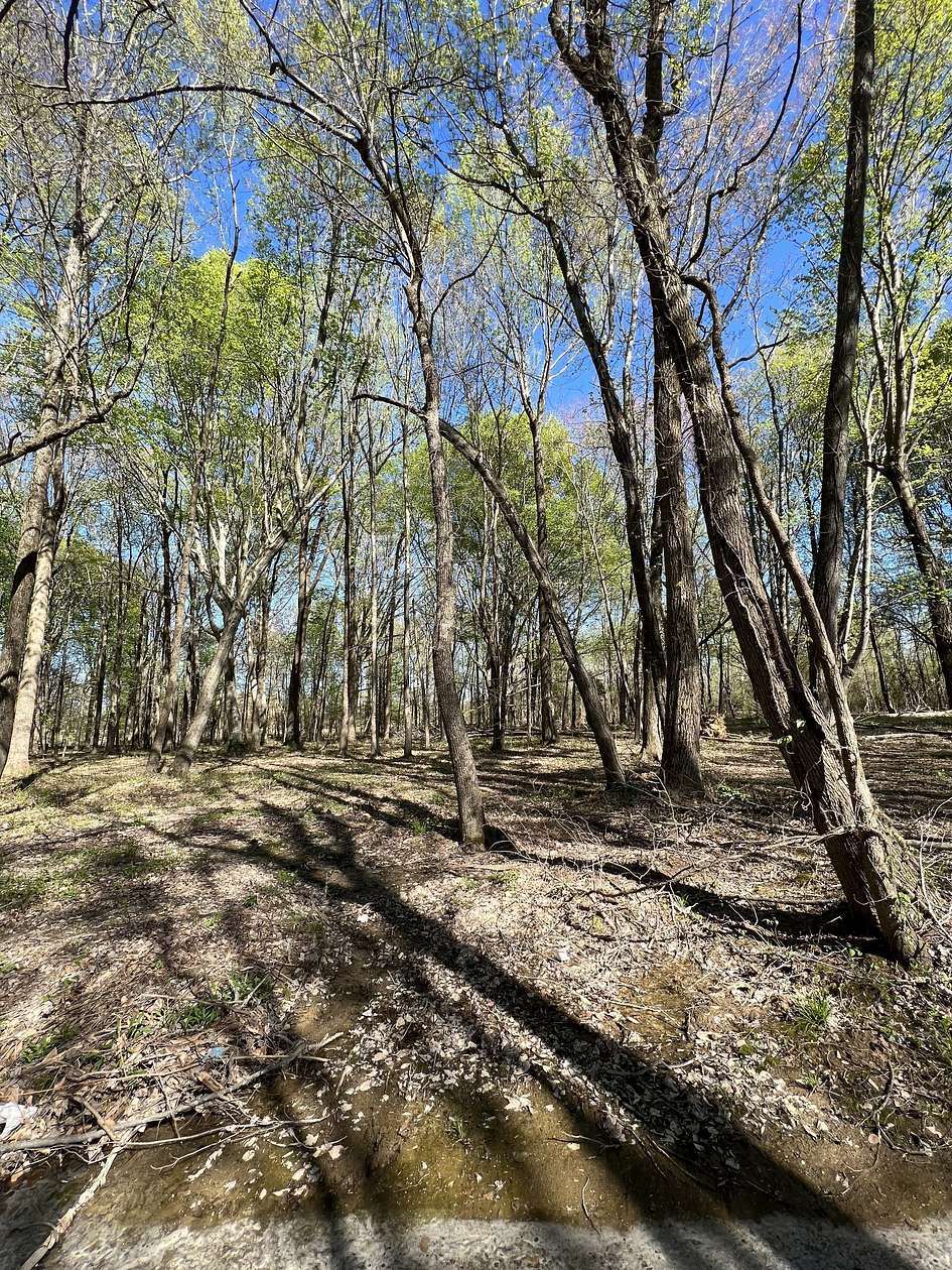 2.46 Acres of Mixed-Use Land for Sale in Lafayette, Tennessee