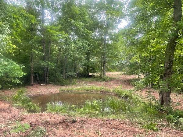 14.9 Acres of Land for Sale in Hurricane Mills, Tennessee