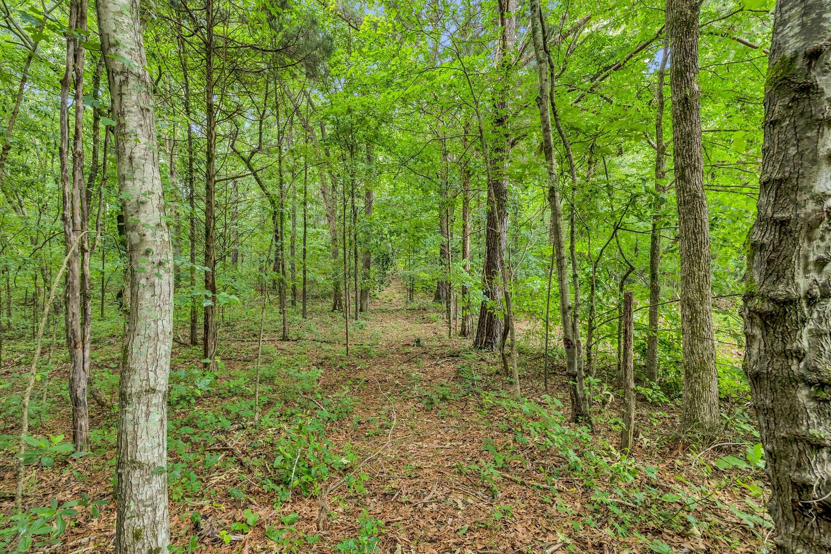 5.49 Acres of Residential Land for Sale in Bon Aqua, Tennessee