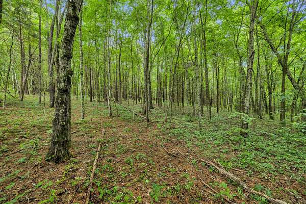 5.49 Acres of Land for Sale in Bon Aqua, Tennessee