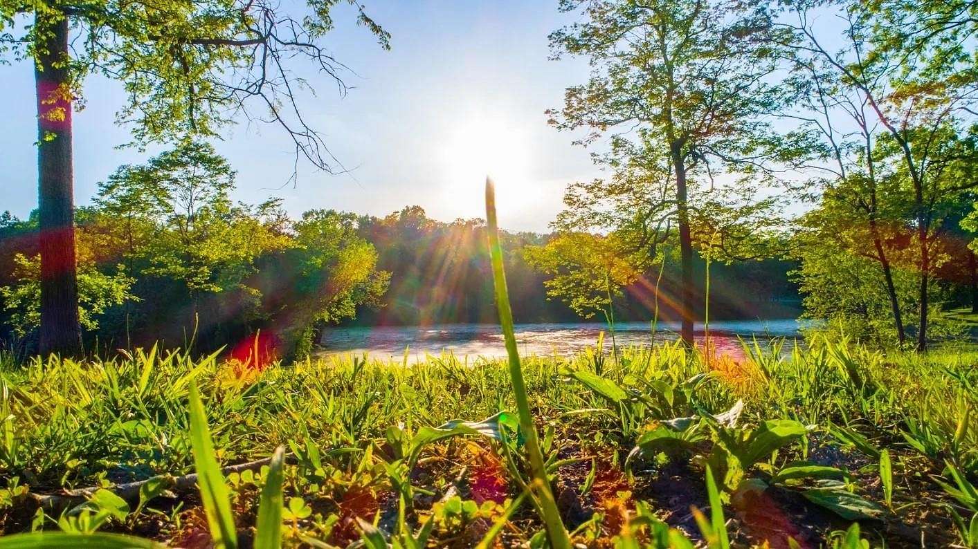 13 Acres of Recreational Land for Sale in Hendersonville, Tennessee