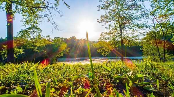 13 Acres of Recreational Land for Sale in Hendersonville, Tennessee