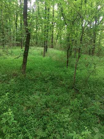 28 Acres of Land for Sale in Ardmore, Tennessee
