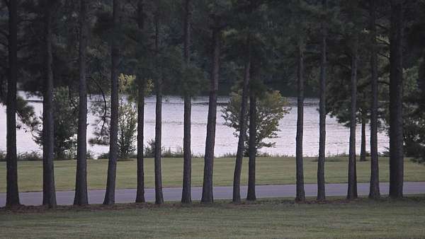 Residential Land for Sale in Winchester, Tennessee