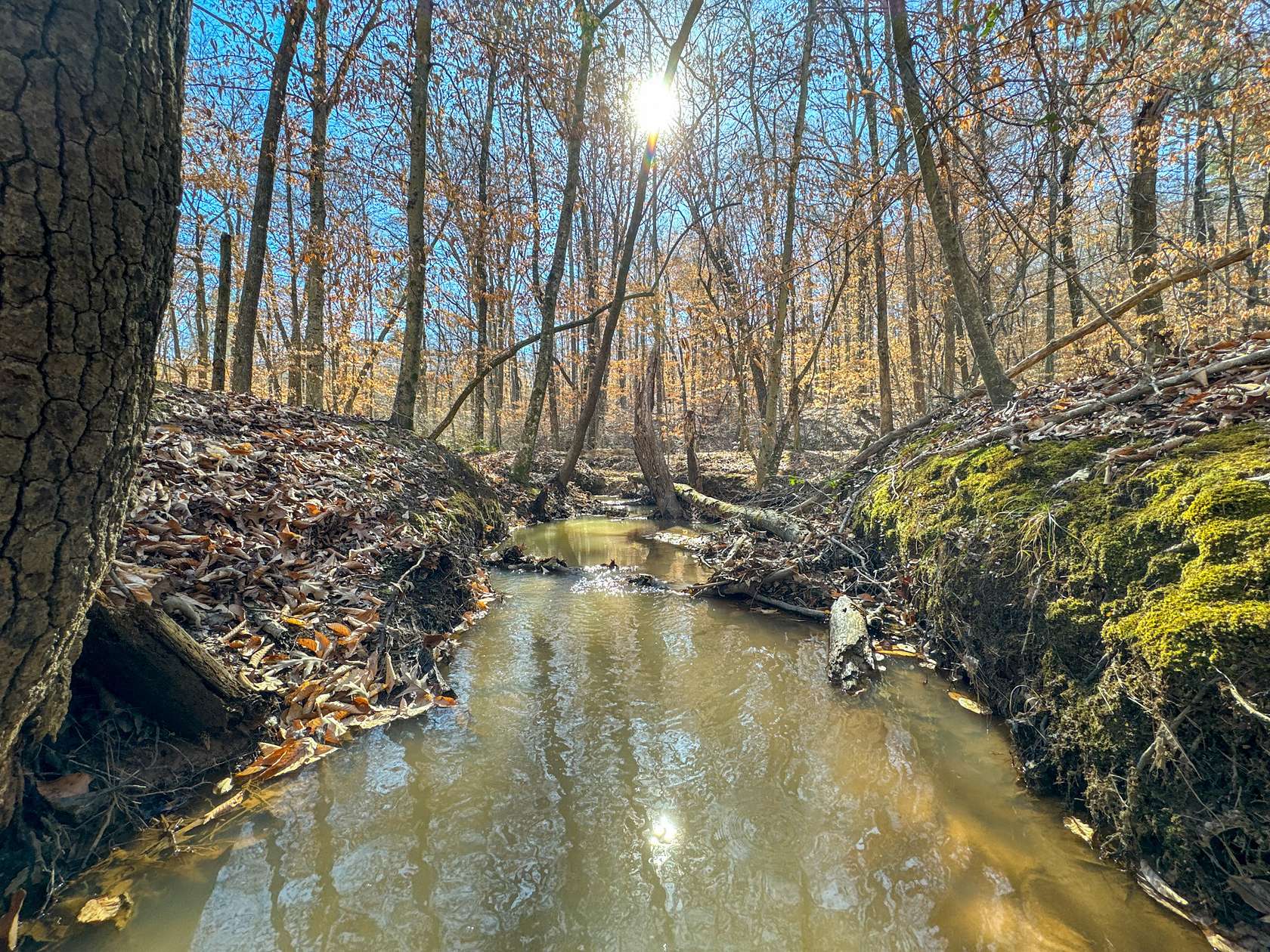 67.7 Acres of Recreational Land for Sale in Savannah, Tennessee