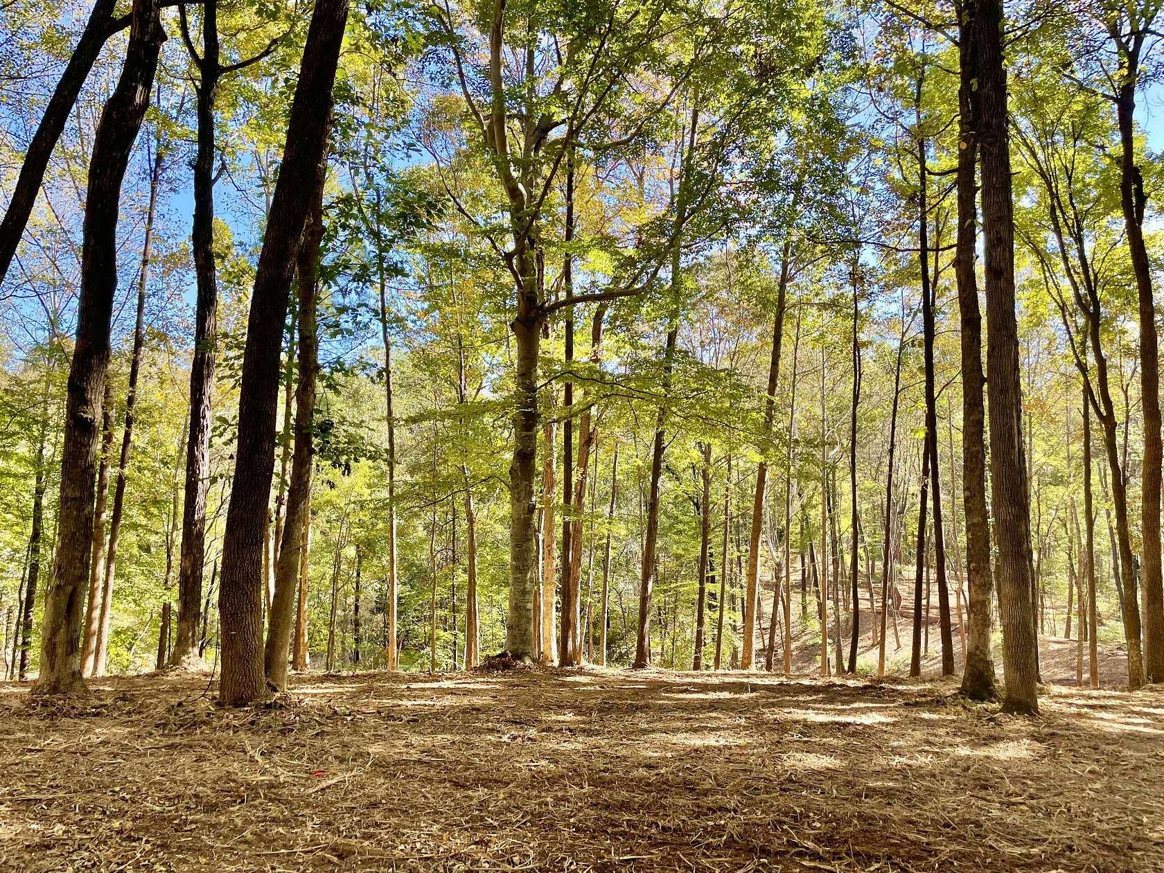 10 Acres of Land for Sale in Clarksville, Tennessee