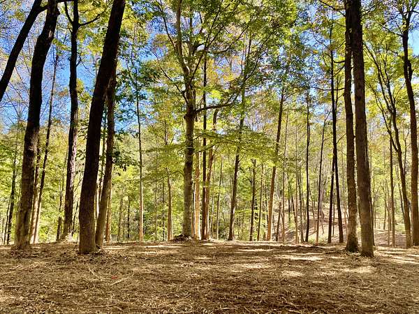 10 Acres of Land for Sale in Clarksville, Tennessee