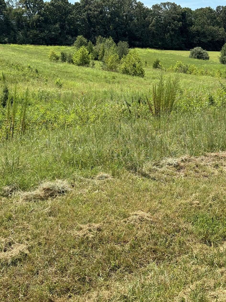 5 Acres of Residential Land for Sale in Estill Springs, Tennessee