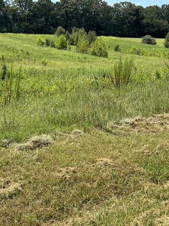 5 Acres of Residential Land for Sale in Estill Springs, Tennessee