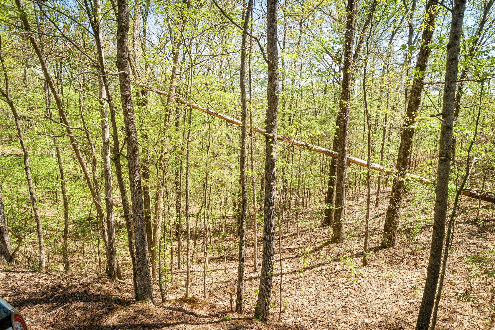 0.68 Acres of Residential Land for Sale in Parsons, Tennessee