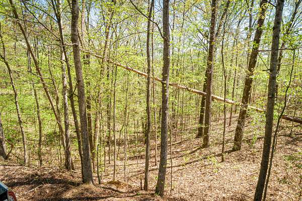 0.68 Acres of Residential Land for Sale in Parsons, Tennessee