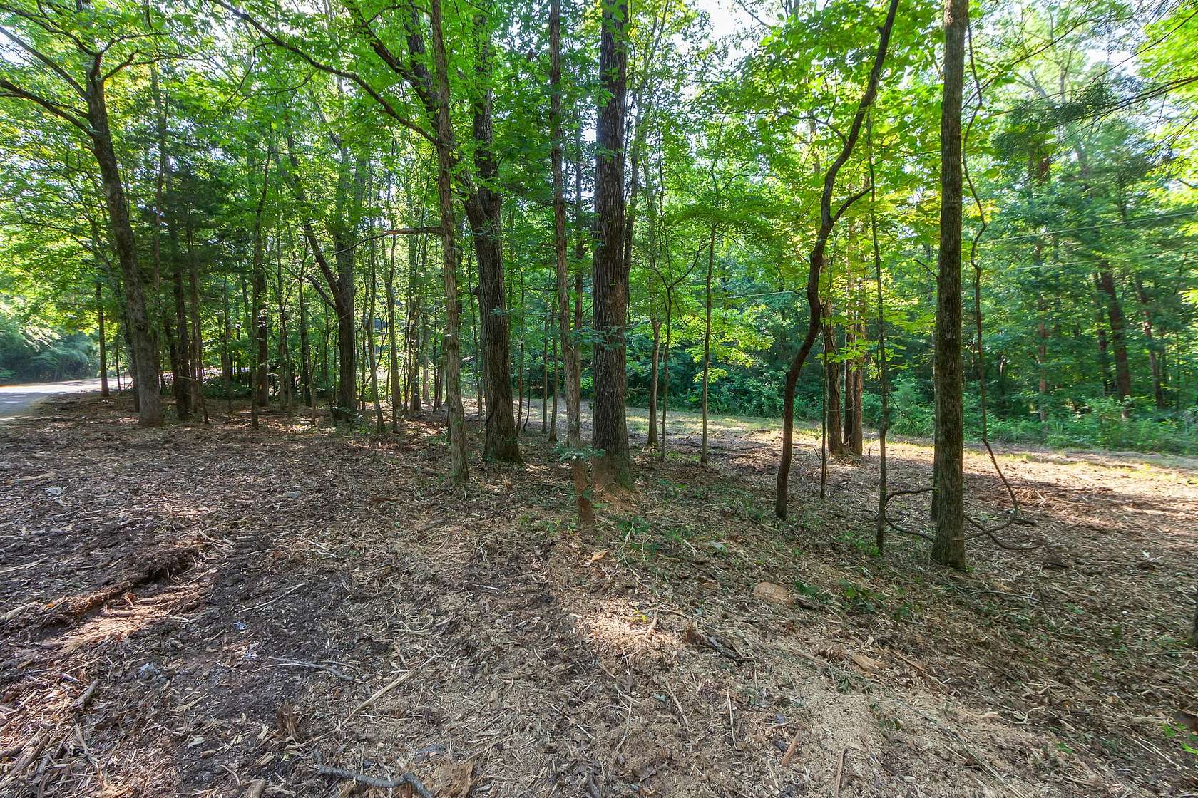 5.36 Acres of Residential Land for Sale in Middleton, Tennessee