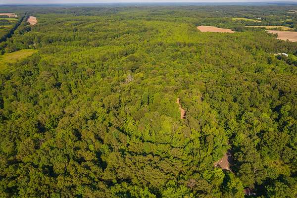 11 Acres of Recreational Land for Sale in Middleton, Tennessee