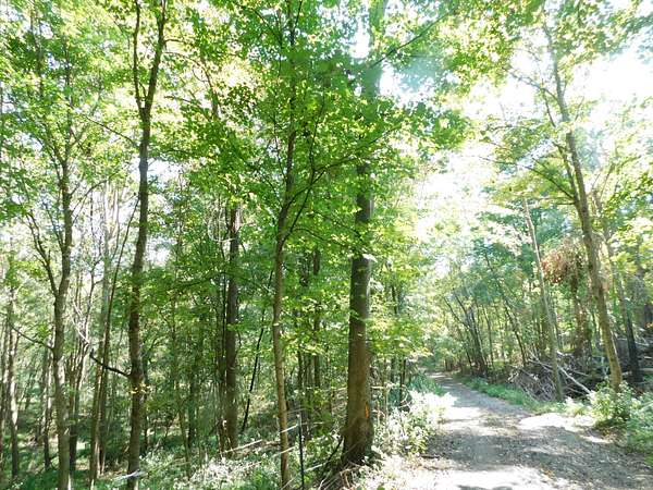 18.2 Acres of Land for Sale in Gallatin, Tennessee