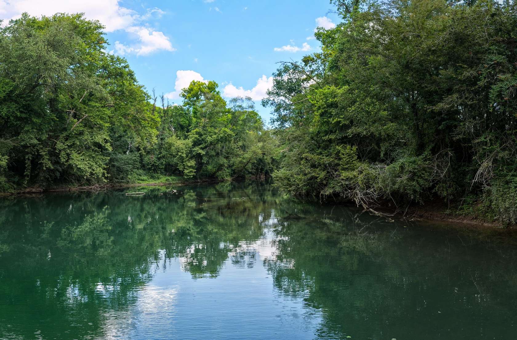 231 Acres of Recreational Land & Farm for Sale in McMinnville, Tennessee