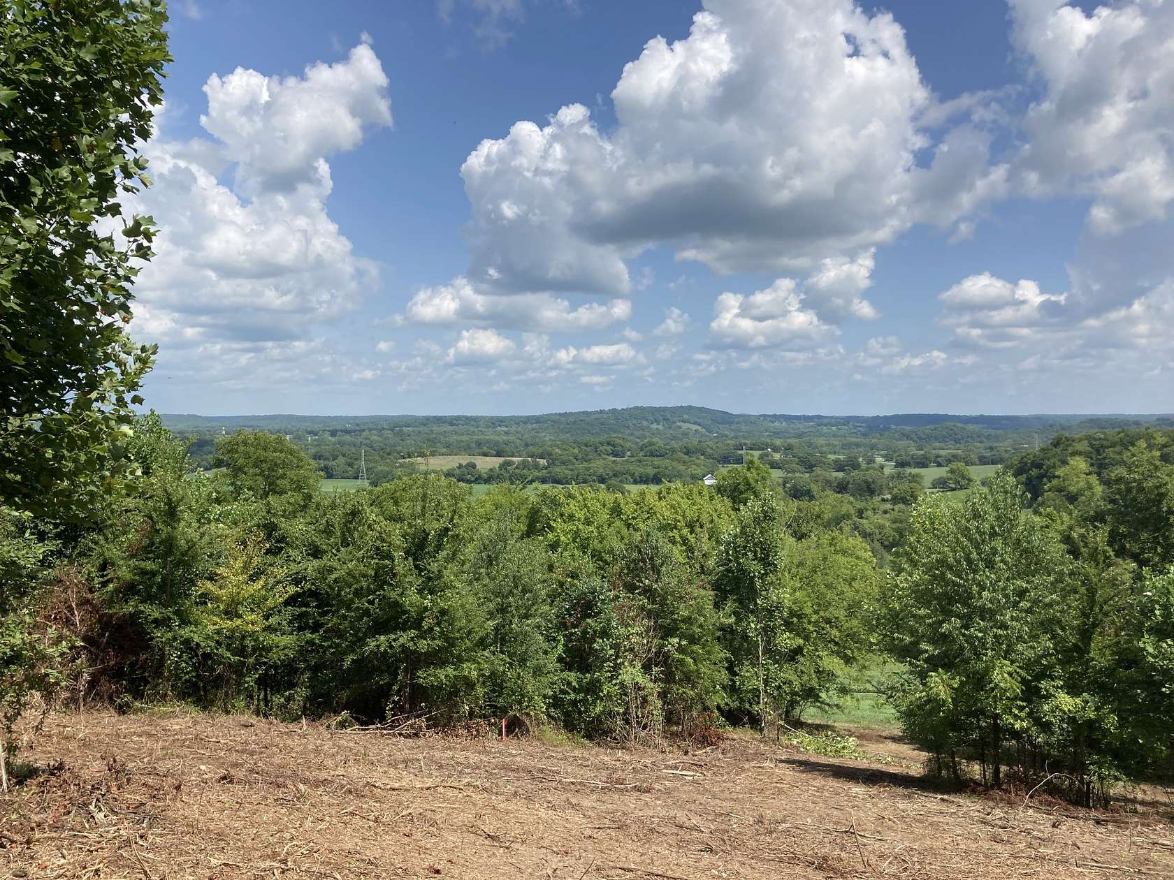 17.4 Acres of Land for Sale in Mount Pleasant, Tennessee
