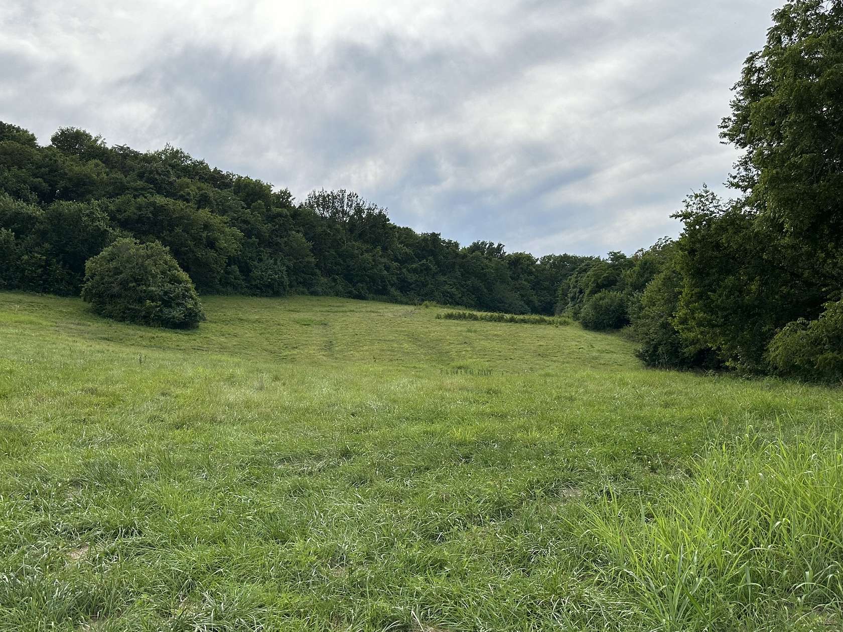 3 Acres of Residential Land for Sale in Thompson's Station, Tennessee