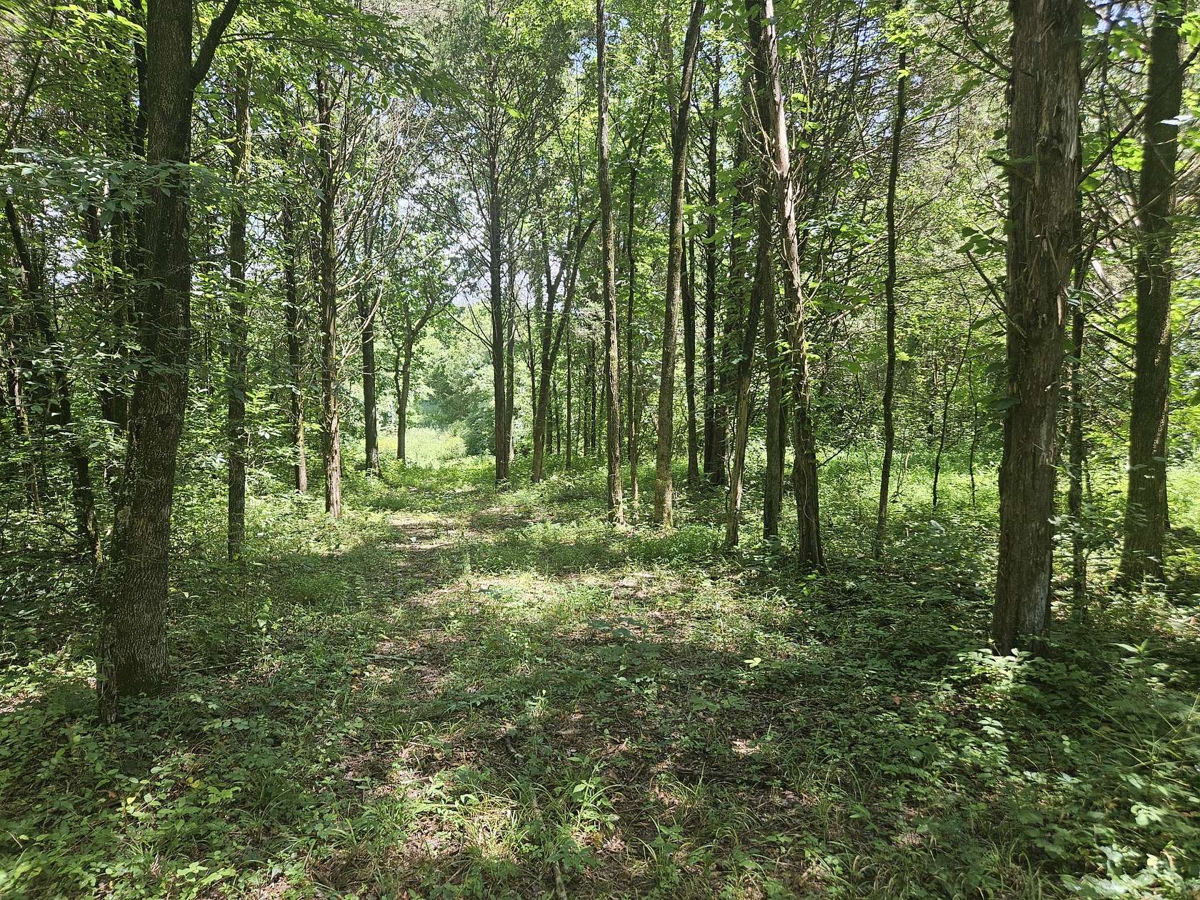 5 Acres of Residential Land for Sale in Lebanon, Tennessee