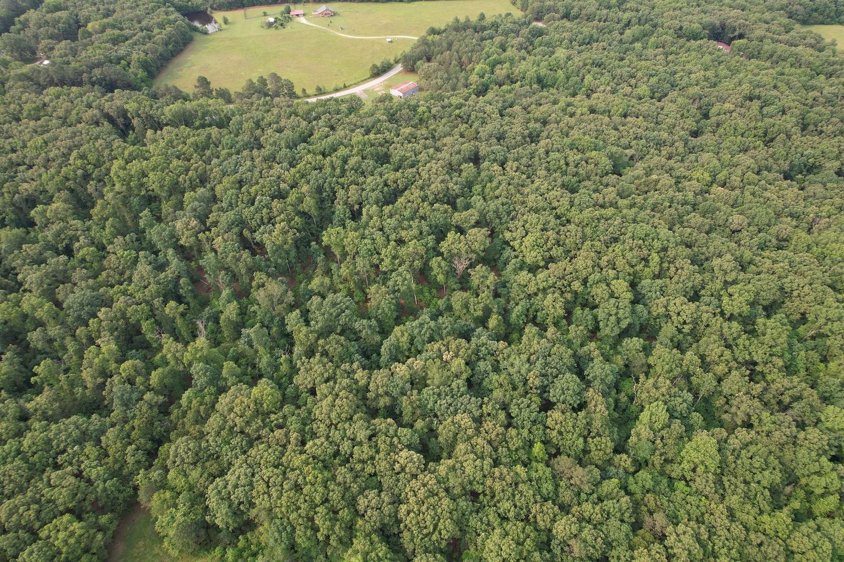 15 Acres of Land for Sale in Summertown, Tennessee