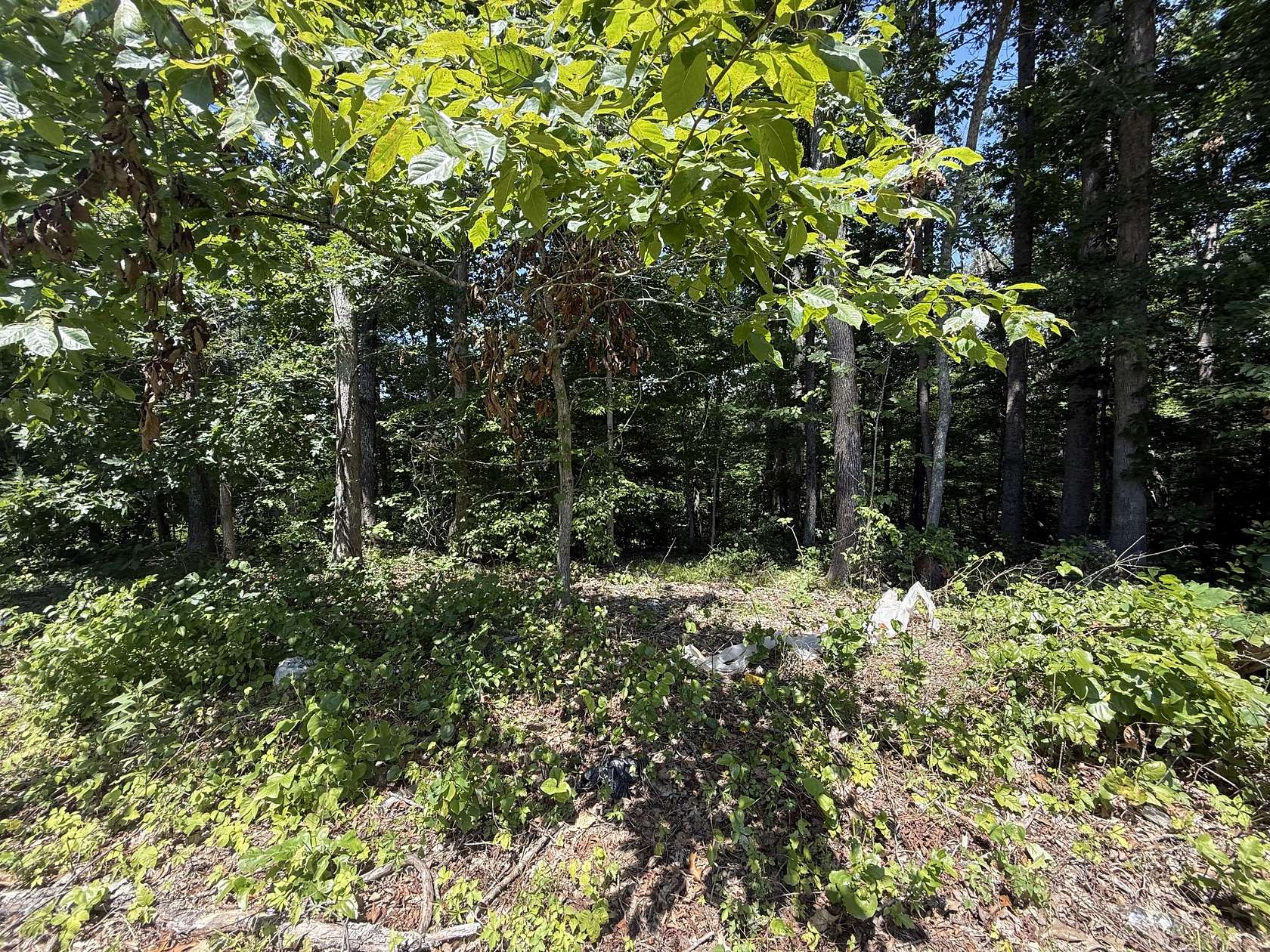 1.7 Acres of Residential Land for Sale in Joelton, Tennessee