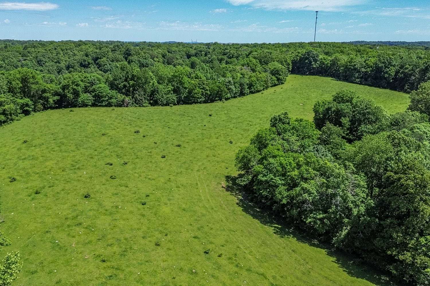 21.5 Acres of Land for Sale in Cornersville, Tennessee