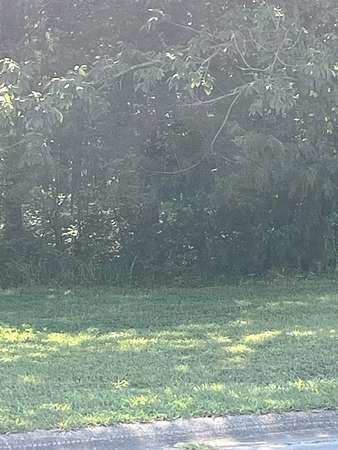 1 Acre of Commercial Land for Sale in Mount Juliet, Tennessee