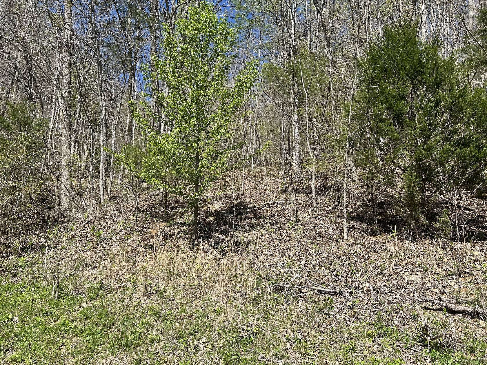 8 Acres of Land for Sale in Lynchburg, Tennessee