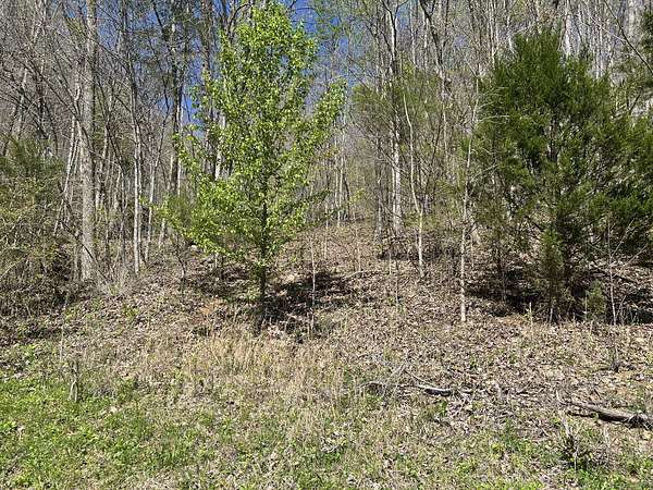 8 Acres of Land for Sale in Lynchburg, Tennessee