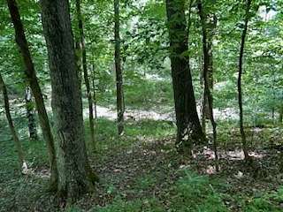 8 Acres of Land for Sale in Frankewing, Tennessee