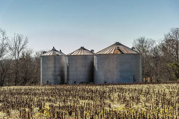 80 Acres of Agricultural Land for Sale in Portland, Tennessee