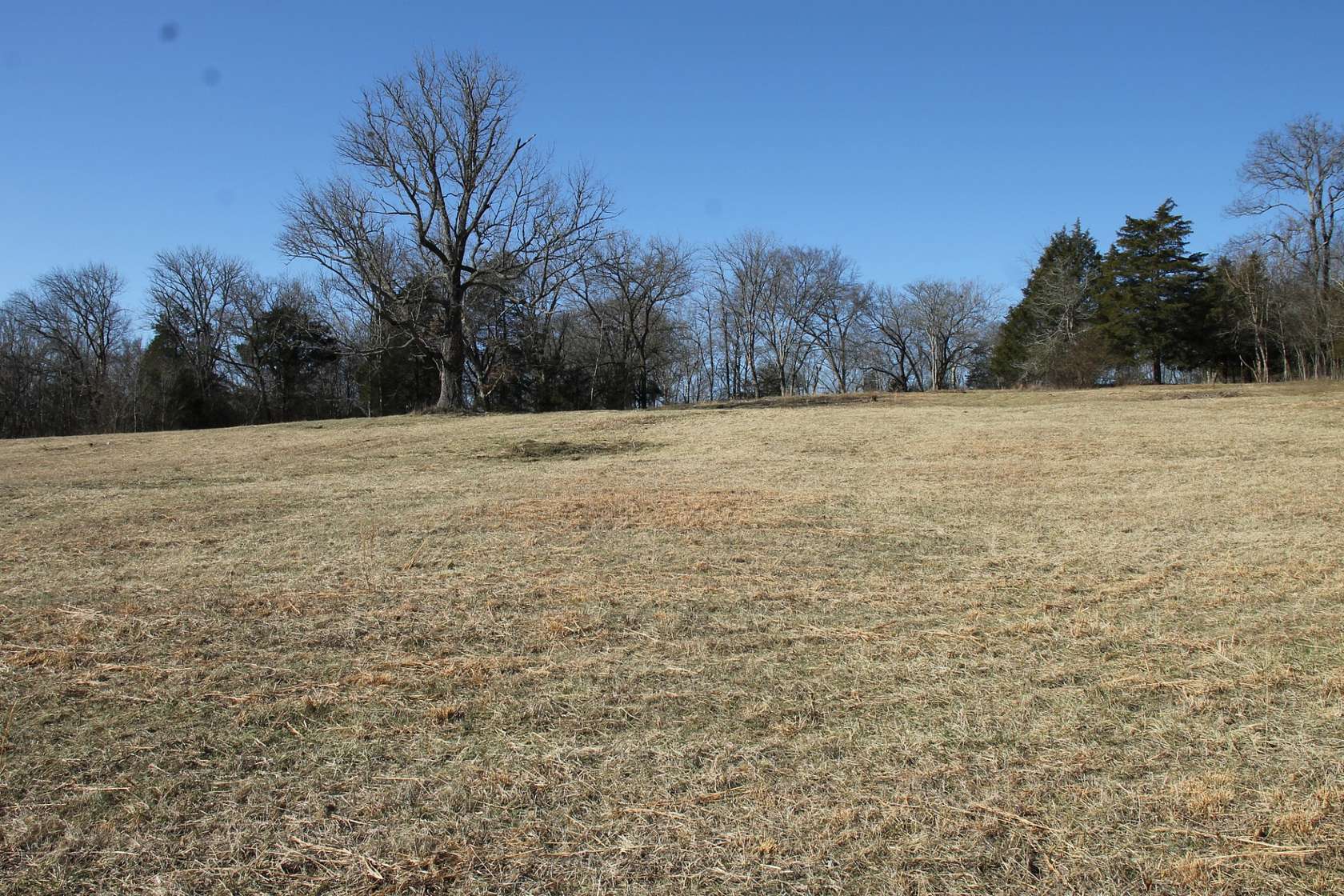 8.52 Acres of Residential Land for Sale in Castalian Springs, Tennessee