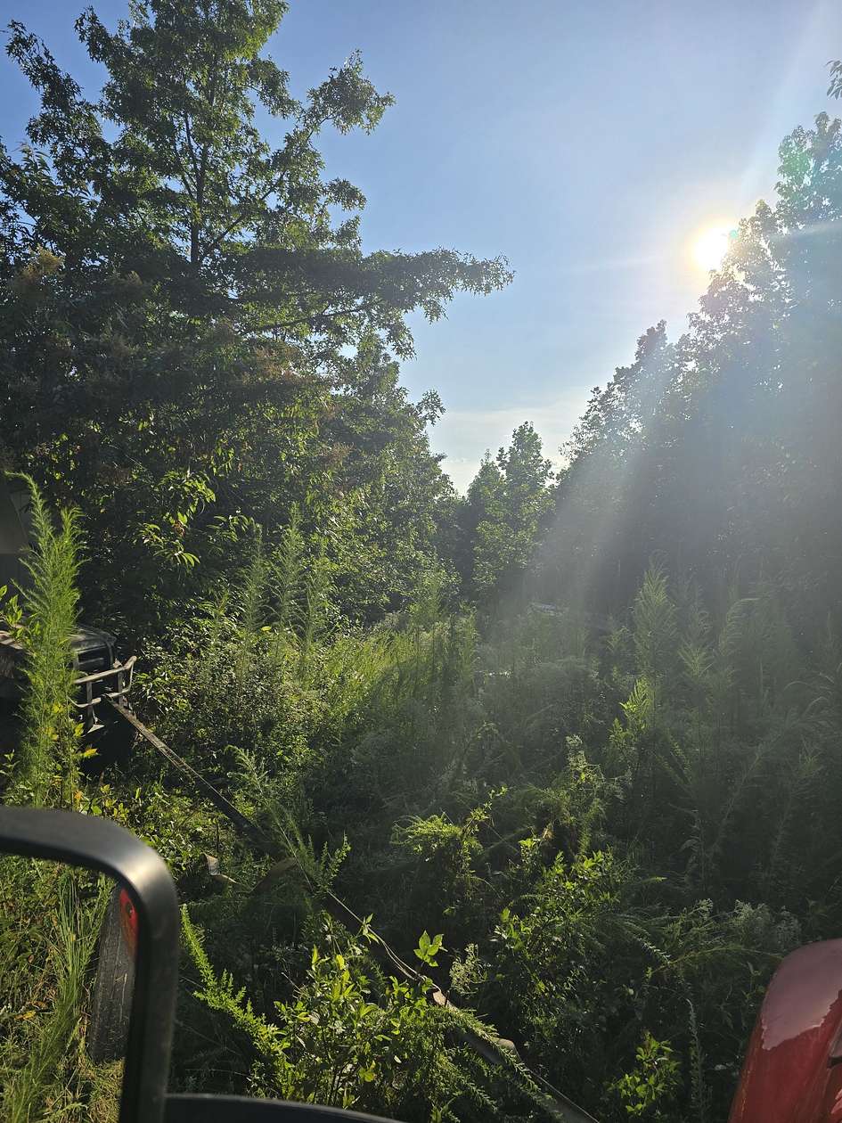 8.24 Acres of Residential Land for Sale in Linden, Tennessee