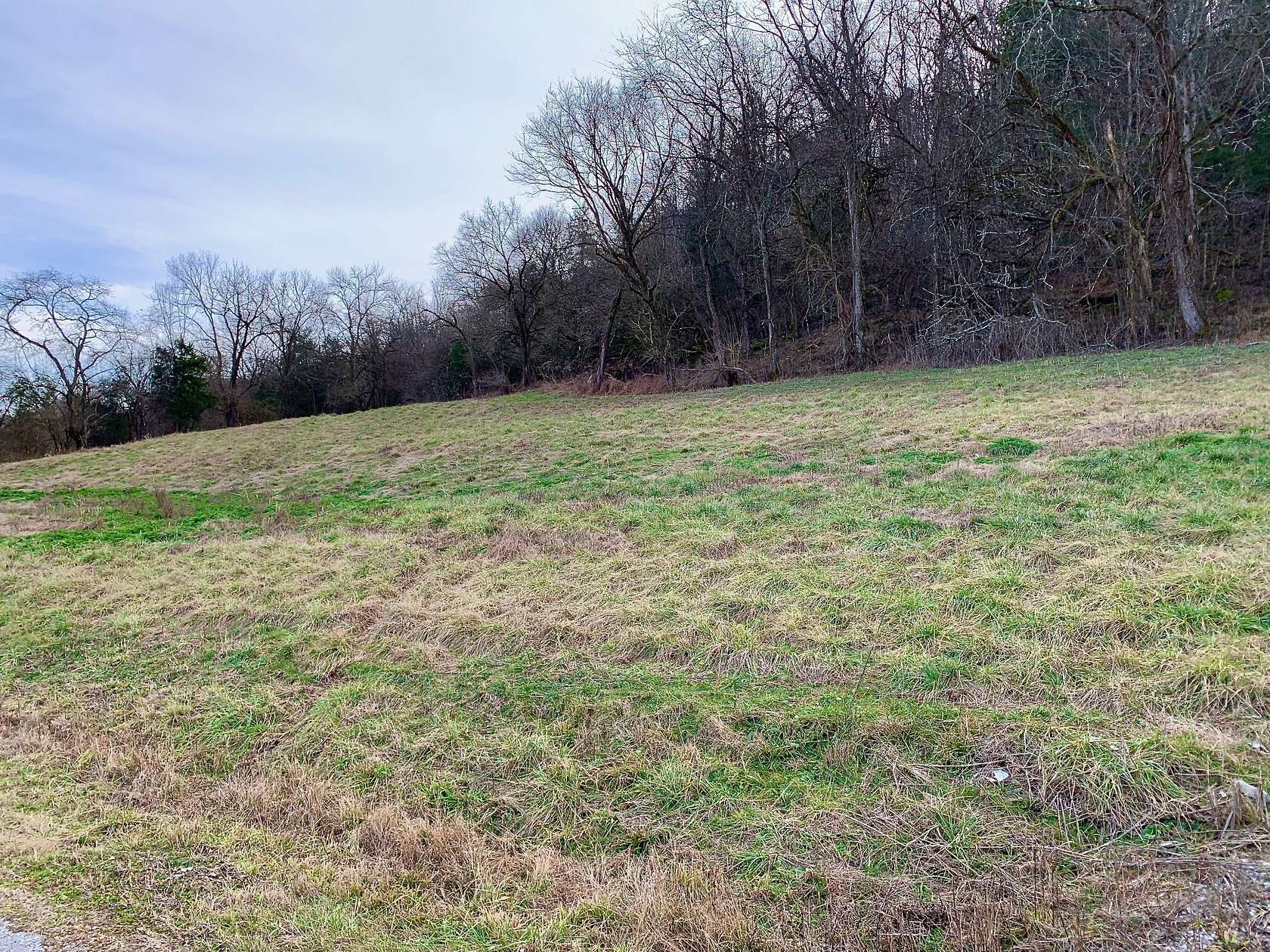 5 Acres of Residential Land for Sale in Liberty, Tennessee