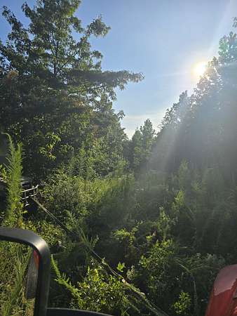 5.52 Acres of Residential Land for Sale in Linden, Tennessee