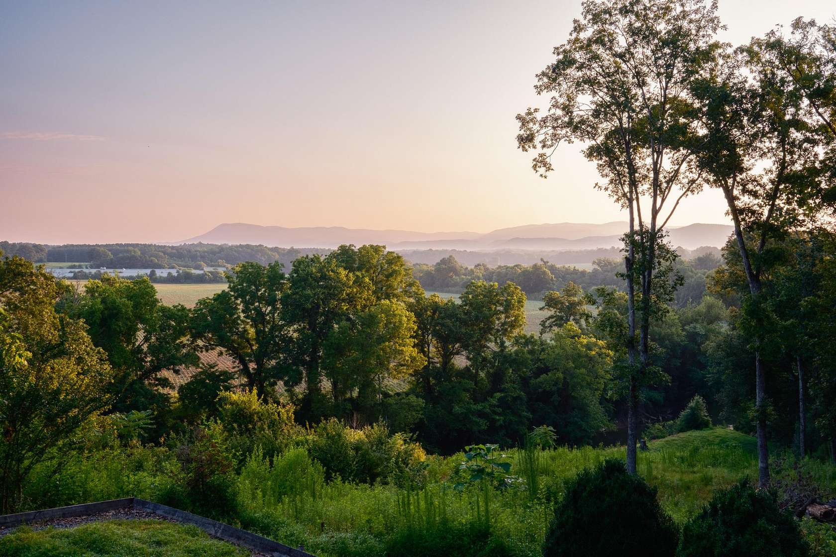 25.9 Acres of Recreational Land with Home for Sale in Ranger, Georgia