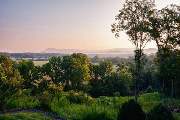 25.9 Acres of Recreational Land with Home for Sale in Ranger, Georgia