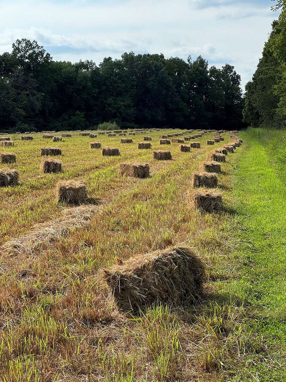 72.1 Acres of Recreational Land & Farm for Sale in Westmoreland, Tennessee