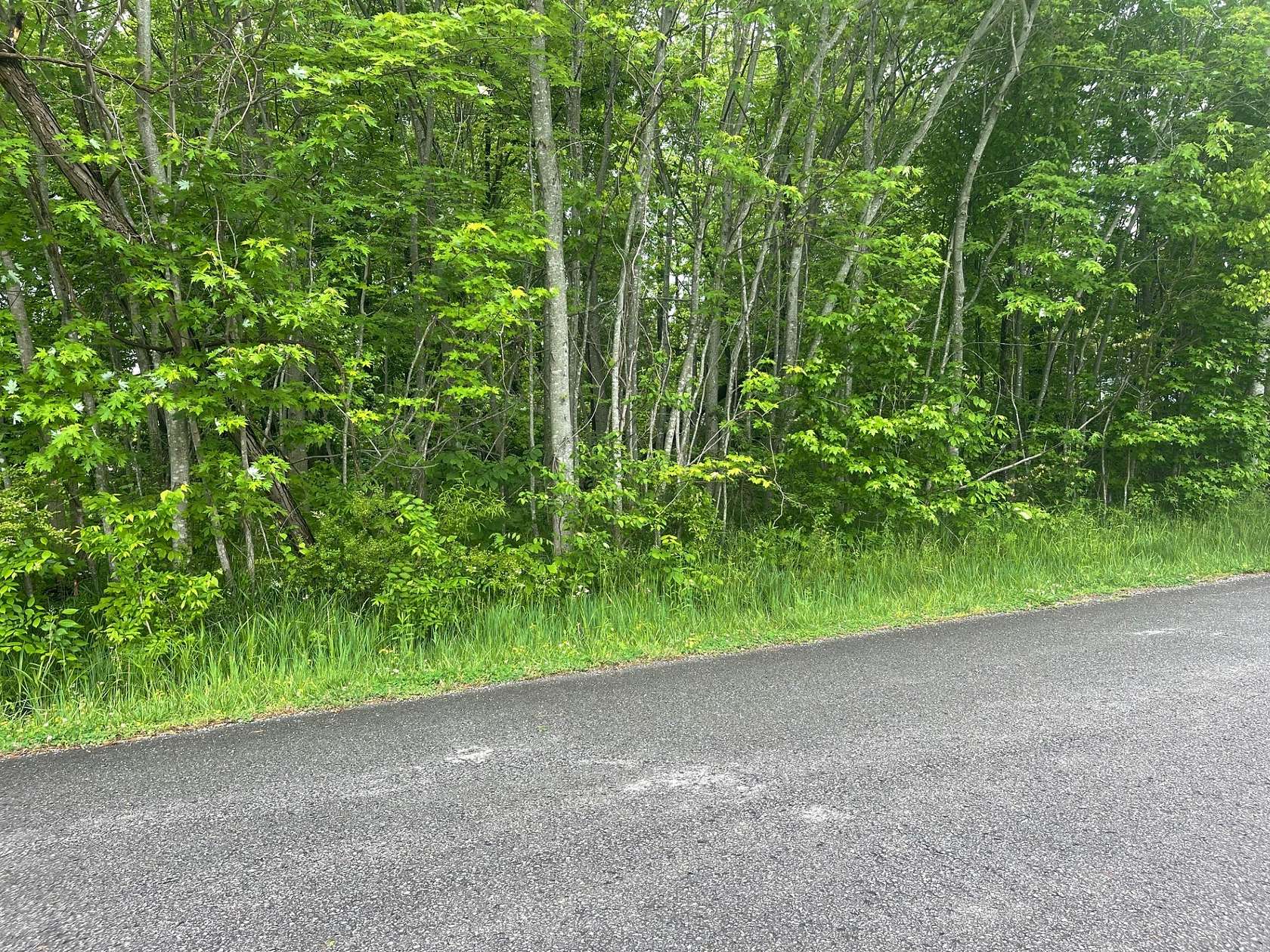 0.34 Acres of Residential Land for Sale in Cedar Hill, Tennessee