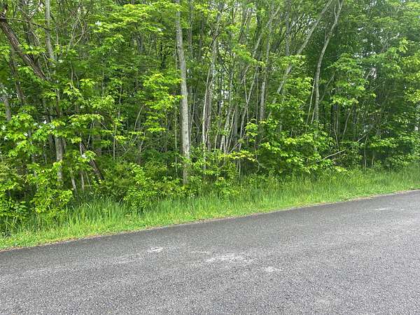 0.34 Acres of Residential Land for Sale in Cedar Hill, Tennessee