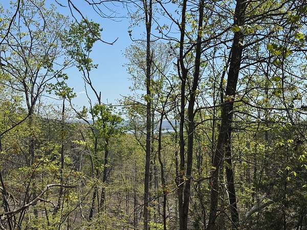 739 Acres of Recreational Land for Sale in Big Sandy, Tennessee
