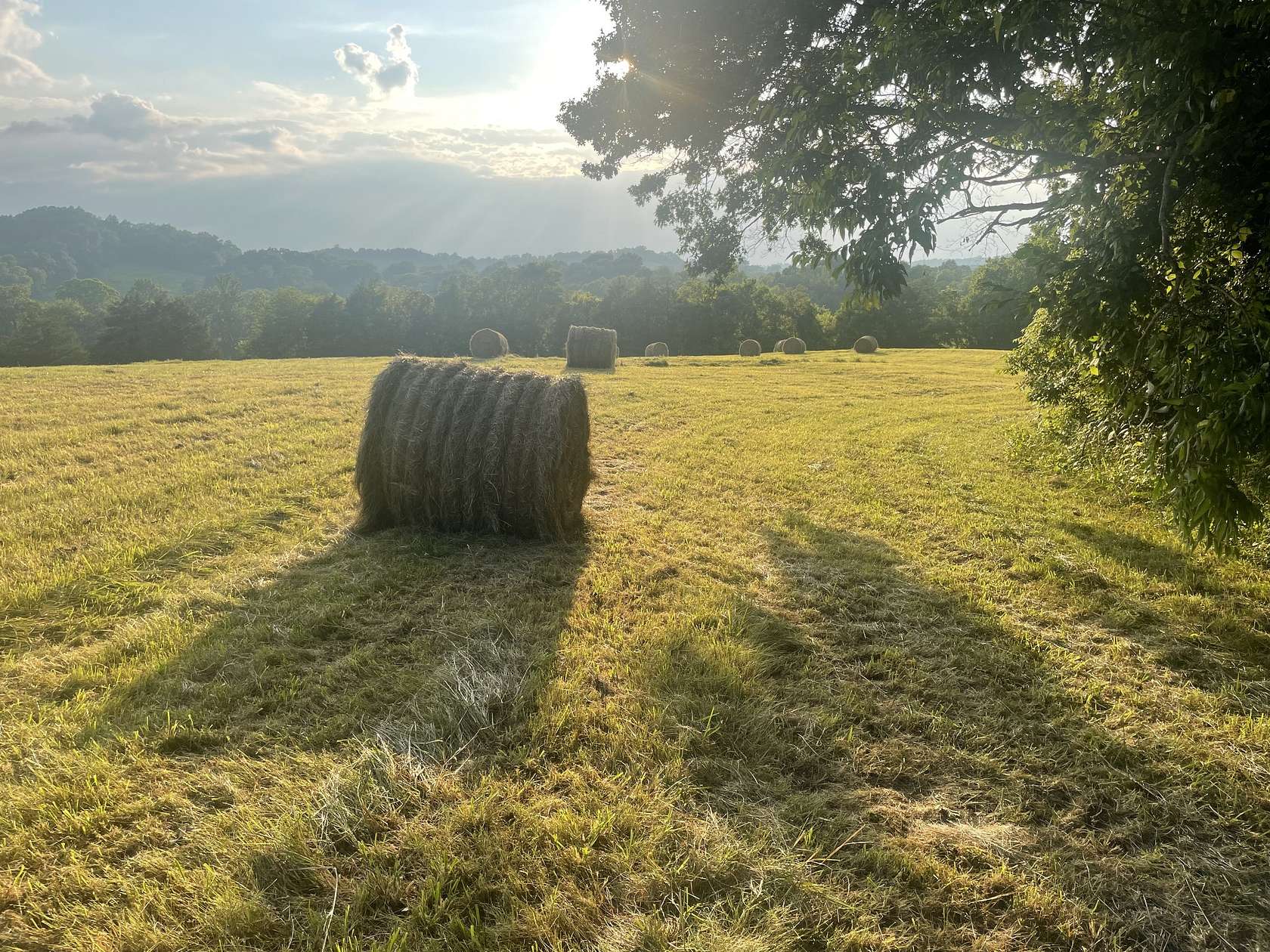 20.6 Acres of Land for Sale in Pulaski, Tennessee
