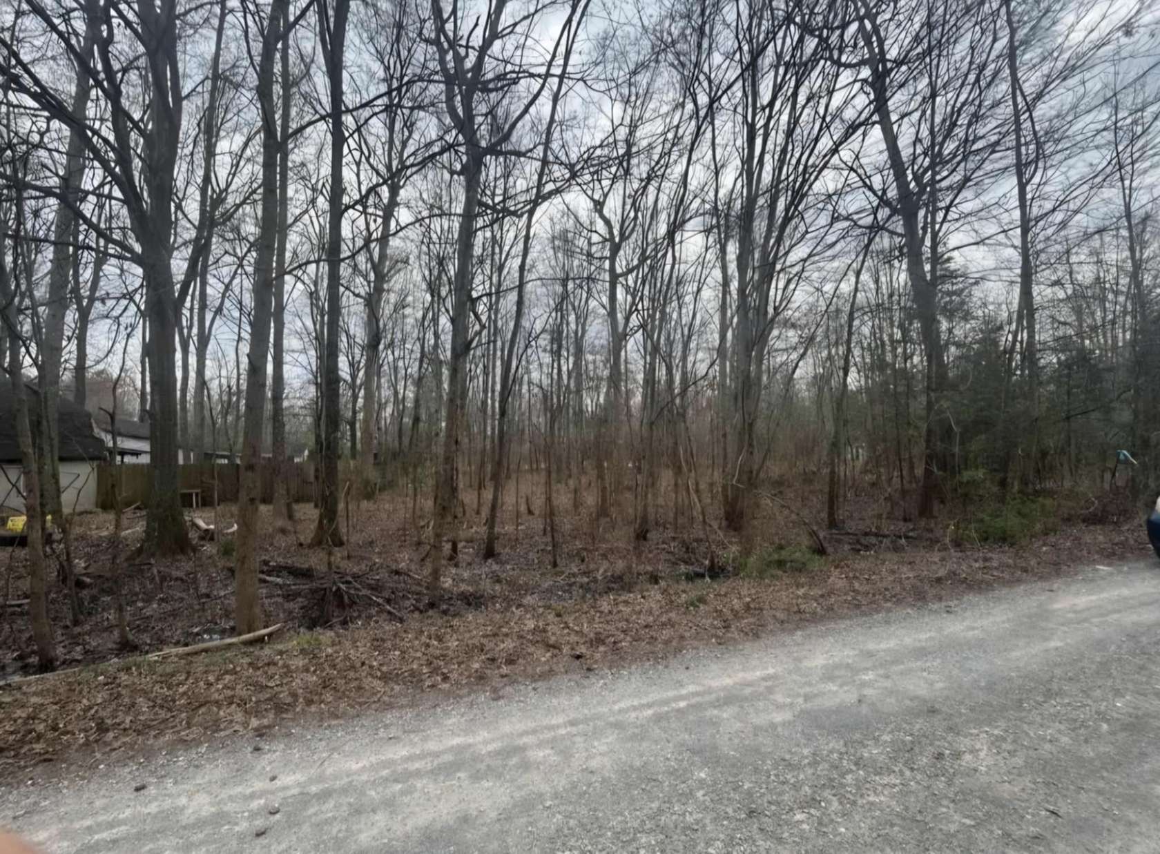 Land for Sale in Beechgrove, Tennessee
