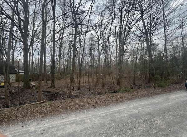 Land for Sale in Beechgrove, Tennessee