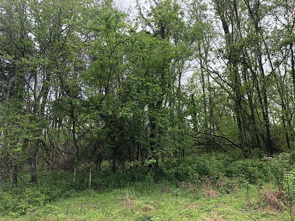 3.3 Acres of Residential Land for Sale in Columbia, Tennessee