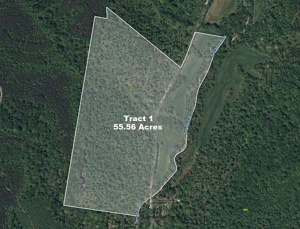 55.6 Acres of Recreational Land & Farm for Sale in Dover, Tennessee
