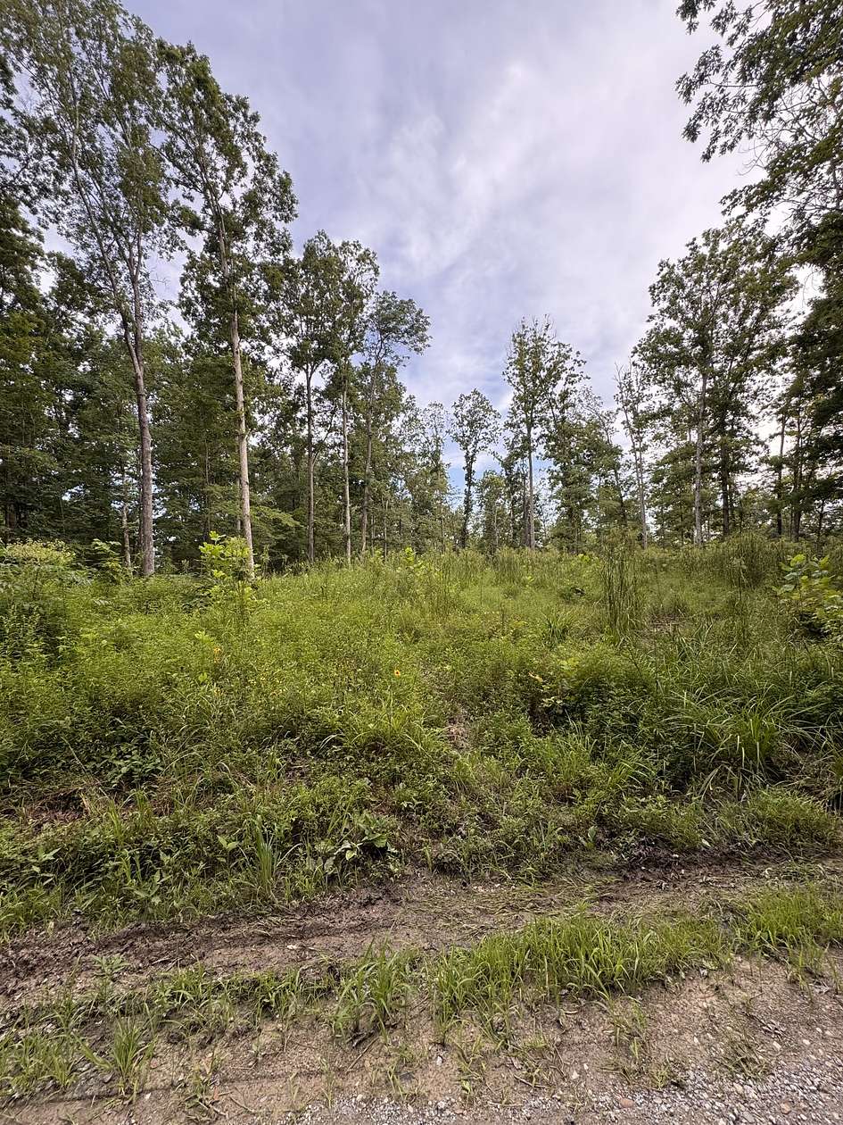 20 Acres of Recreational Land for Sale in Tennessee Ridge, Tennessee