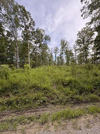 20 Acres of Recreational Land for Sale in Tennessee Ridge, Tennessee